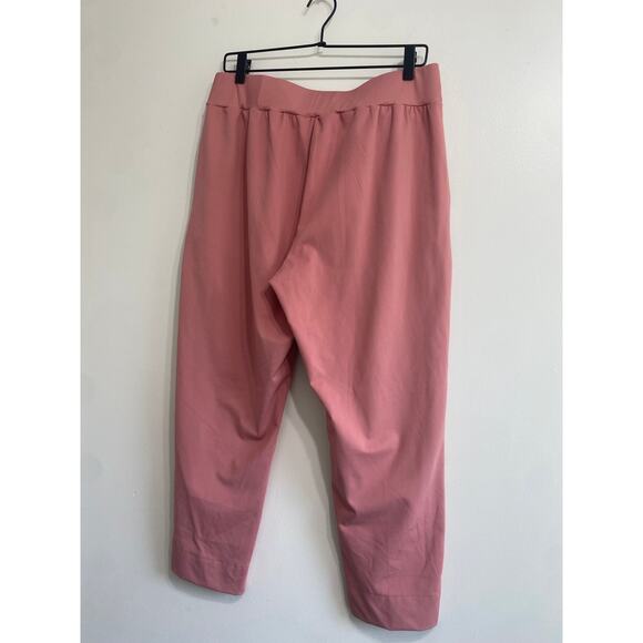Stylish Muted Pink Pull-On Ankle Pants - Size Large - Picture 8 of 12
